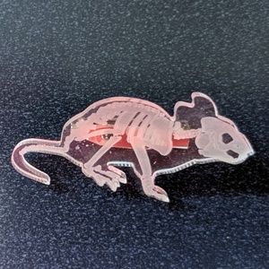 Jewelry - Transparent Rat Skeleton Pin Brooch NWOT Jewelry - Transparent Rat Skeleton Pin Brooch NWOT